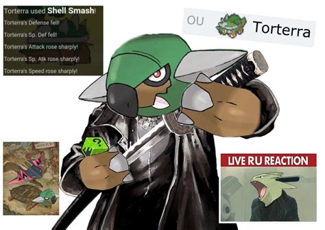 smogon torterra|Read TORTERRABACHI In Weekly Smogon Jump : r/stunfisk.